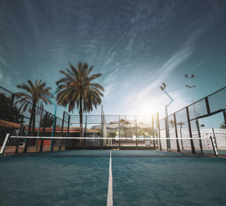 Entreprise construction terrain de pickleball